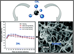 Graphical abstract: Catalytic decomposition of undiluted methane into hydrogen and carbon nanotubes over Pt promoted Ni/CeO2 catalysts