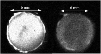 Graphical abstract: Imaging immunoassay in negative: surface-catalysed chemiluminescence for the detection of pregnancy hormones in artificial saliva