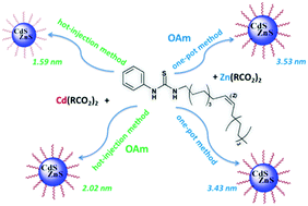 Graphical abstract: Mechanistic investigation of the sulfur precursor evolution in the synthesis of highly photoluminescent Cd0.15Zn0.85S quantum dots