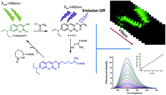 Graphical abstract: Development of a two-photon turn-on fluorescent probe for cysteine and its bio-imaging applications in living cells, tissues, and zebrafish