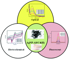 Graphical abstract: Green silver nanoparticles as a multifunctional sensor for toxic Cd(ii) ions