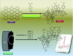 Graphical abstract: A simple route to surface functionalization of graphene nanosheets by benzoic acid and its application toward Pb(ii) sensing