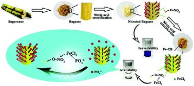 Graphical abstract: Bagasse-based adsorbent with nitric acid esterification and Fe(iii) chelation for the highly efficient removal of low concentration phosphate from water
