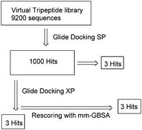 Graphical abstract: Discovery of novel amide tripeptides as pancreatic lipase inhibitors by virtual screening