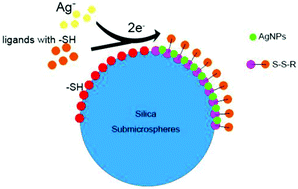 Graphical abstract: Potential impact of organic ligands on the antibacterial activity of silver nanoparticles