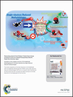 Graphical abstract: Back cover