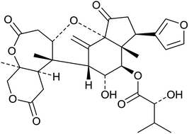 Graphical abstract: Triterpenoids