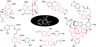 Graphical abstract: Synthetic approaches to natural products containing 2,3-dihydrobenzofuran skeleton