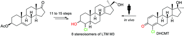 Graphical abstract: Synthesis and structural elucidation of a dehydrochloromethyltestosterone metabolite