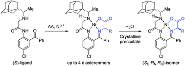Graphical abstract: Second-order asymmetric transformation and its application for the practical synthesis of α-amino acids