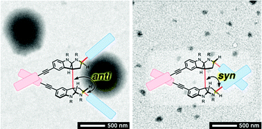 Graphical abstract: Design of C2-symmetric alkaloidal chiral amphiphiles and configurational effects on self-assembly