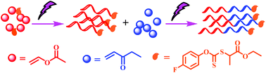 Graphical abstract: Photoinduced controlled radical polymerization of methyl acrylate and vinyl acetate by xanthate