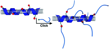 Graphical abstract: Functionalization of polyfluorene-wrapped carbon nanotubes via copper-mediated azide–alkyne cycloaddition