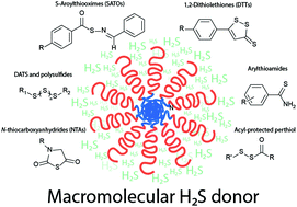 Graphical abstract: Recent advances in the delivery of hydrogen sulfide via a macromolecular approach