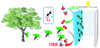 Graphical abstract: Using lithium chloride as a medium to prepare N,P-codoped carbon nanosheets for oxygen reduction and evolution reactions