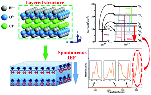 Graphical abstract: Intense one-band near-infrared upconversion luminescence induced by using spontaneous polarization BiOCl sheet crystals as hosts for Yb3+ and Tm3+ ions