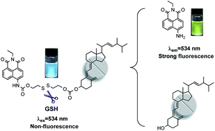 Graphical abstract: A novel glutathione-triggered theranostic prodrug for anticancer and imaging in living cells