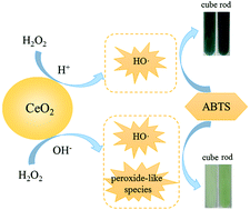 Graphical abstract: Morphology- and pH-dependent peroxidase mimetic activity of nanoceria