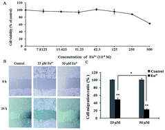 Graphical abstract: Potent and selective inhibition of matrix metalloproteinases by lanthanide trichloride