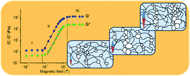 Graphical abstract: Soft magnetic nanocomposites based on adaptive matrix of wormlike surfactant micelles