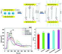 Graphical abstract: Synergistic effects of boron-doped silicone resin and a layered double hydroxide modified with sodium dodecyl benzenesulfonate for enhancing the flame retardancy of polycarbonate