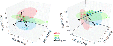 Graphical abstract: Fingerprint profiling of polysaccharides from different parts of lotus root varieties