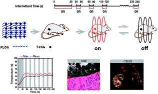 Graphical abstract: Intermittent time-set technique controlling the temperature of magnetic-hyperthermia-ablation for tumor therapy