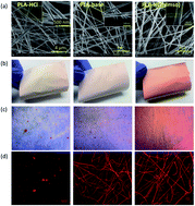 Graphical abstract: Early stage release control of an anticancer drug by drug-polymer miscibility in a hydrophobic fiber-based drug delivery system