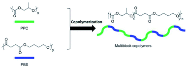 Graphical abstract: Multiblock copolymers of PPC with oligomeric PBS: with low brittle–toughness transition temperature