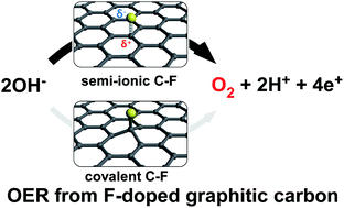 Graphical abstract: Advantage of semi-ionic bonding in fluorine-doped carbon materials for the oxygen evolution reaction in alkaline media
