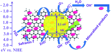 Graphical abstract: Visible-light-driven photocatalytic degradation of safranin-T dye using functionalized graphene oxide nanosheet (FGS)/ZnO nanocomposites