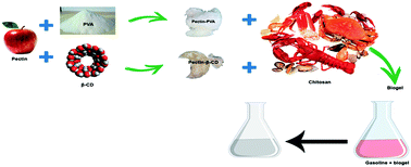 Graphical abstract: Synthesis, characterization and sorption studies of aromatic compounds by hydrogels of chitosan blended with β-cyclodextrin- and PVA-functionalized pectin