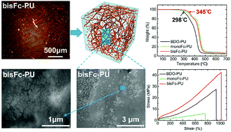 Graphical abstract: Tuning chain extender structure to prepare high-performance thermoplastic polyurethane elastomers