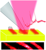 Graphical abstract: Development of a candidate reference sample for the characterization of tip-enhanced Raman spectroscopy spatial resolution