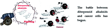 Graphical abstract: Two decades of advances in diterpenoid alkaloids with cytotoxicity activities