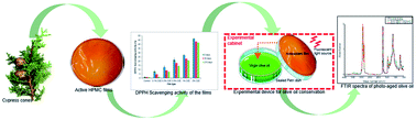 Graphical abstract: Development, characterization and application of hydroxypropylmethylcellulose films enriched with cypress seed extract