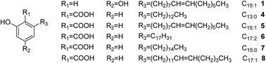 Graphical abstract: Development of online-storage inner-recycling counter-current chromatography for the preparative separation of complex components of alkylphenols from sarcotesta of Ginkgo biloba L.