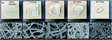 Graphical abstract: Fabrication of polytetrafluoroethylene nanofibrous membranes for guided bone regeneration