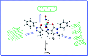 Graphical abstract: Nitric oxide functionalized molybdenum(0) pyrazolone Schiff base complexes: thermal and biochemical study