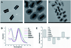 Graphical abstract: Gold nanorod-based multifunctional nanocarrier for synergistic chemo-photothermal therapy in tumors