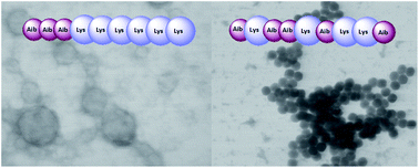 Graphical abstract: Amphiphilic polypeptides with prolonged enzymatic stability for the preparation of self-assembled nanobiomaterials