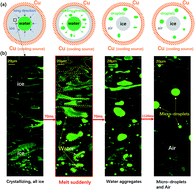 Graphical abstract: A sudden-melting event during water freezing inside a copper well