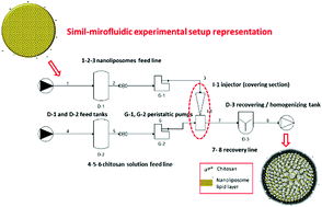 Graphical abstract: Design and production of hybrid nanoparticles with polymeric-lipid shell–core structures: conventional and next-generation approaches
