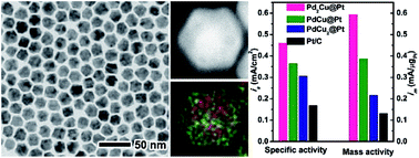 Graphical abstract: Enhanced oxygen reduction activity of Pt shells on PdCu truncated octahedra with different compositions