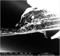 Graphical abstract: ‘Phoenix polymers’: fire induced nanohardness in fibril-forming aromatic cyanate esters