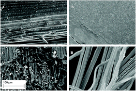 Graphical abstract: Agricultural wastes from wheat, barley, flax and grape for the efficient removal of Cd from contaminated water