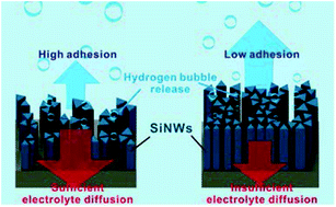 Graphical abstract: Hydrogen evolution from silicon nanowire surfaces