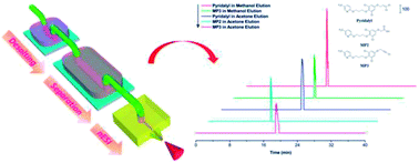 Graphical abstract: On-line pre-treatment, separation, and nanoelectrospray mass spectrometric determinations for pesticide metabolites and peptides based on a modular microfluidic platform