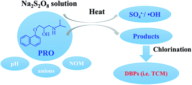 Graphical abstract: Kinetic and mechanistic investigations of the degradation of propranolol in heat activated persulfate process