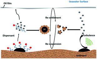 Graphical abstract: Petroleum hydrocarbon release behavior study in oil-sediment aggregates: turbulence intensity and chemical dispersion effect